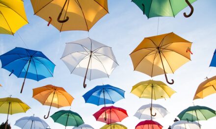 Collaboration Between Researchers, Policymakers, And The Public | The Great…