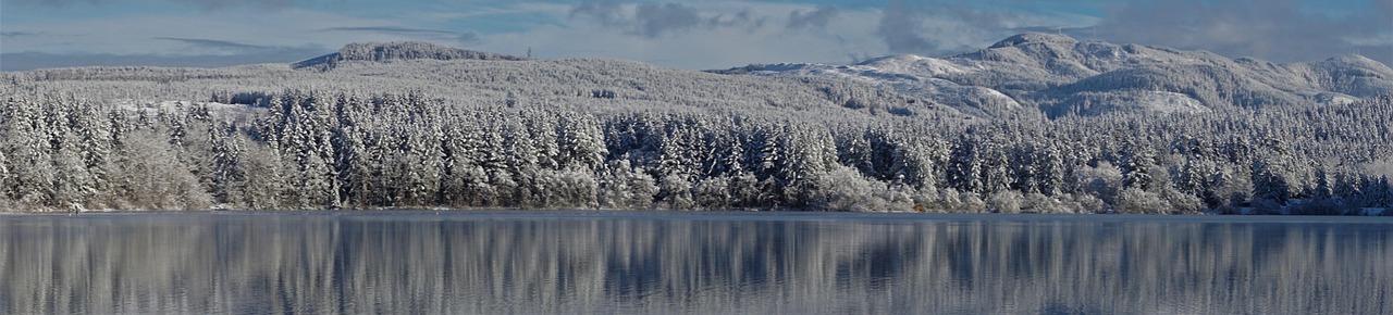 Current State Of The Lake And The Impact Of Water…