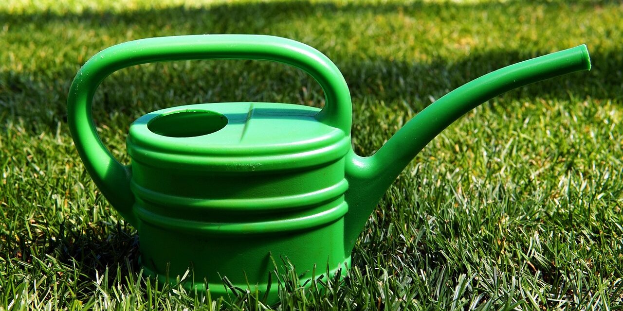 Drip Irrigation Solutions For Gardens » The Great Salt Lake:…