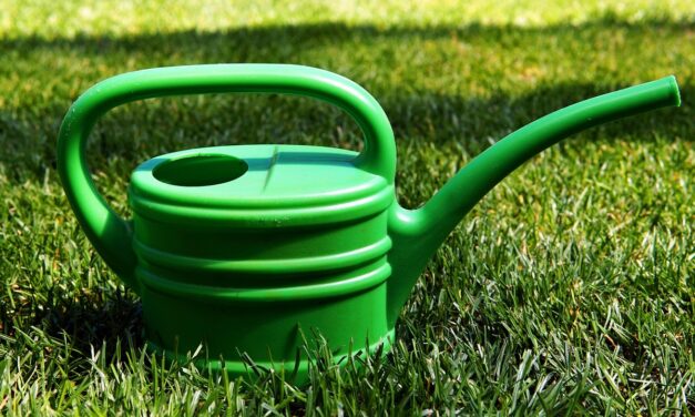 Drip Irrigation Solutions For Gardens » The Great Salt Lake:…
