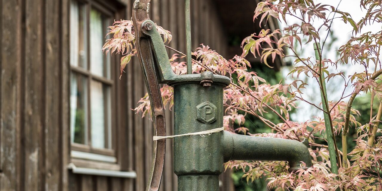 Drip Irrigation Solutions For Gardens: The Great Salt Lake: A…