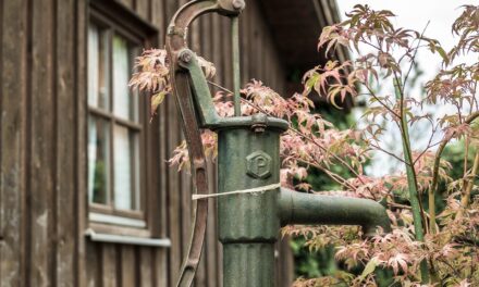 Drip Irrigation Solutions For Gardens: The Great Salt Lake: A…