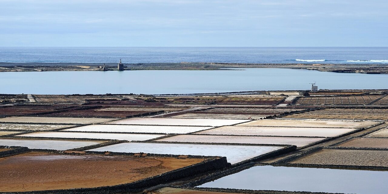 Water Conservation Measures: Strategies For Reducing Water Usage In Agriculture,…