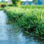 Drip Irrigation Solutions For Gardens | “`html The Great Salt…